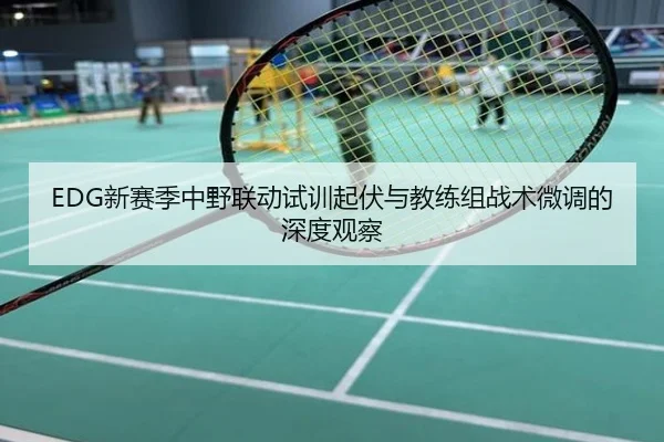 EDG新赛季中野联动试训起伏与教练组战术微调的深度观察